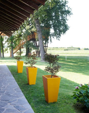 Lade das Bild in den Galerie-Viewer, gelbe pflanzgefäße groß