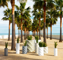 Lade das Bild in den Galerie-Viewer, Ausgefallene Bodenvasen Maurizius zum Verlieben