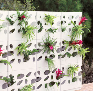 Pflanzenwand für Blumen als Sichtschutzelemente Vertikaler Garten