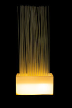 Lade das Bild in den Galerie-Viewer, Sichtschutz New Pot Vase Raumteiler beleuchtet