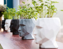 Lade das Bild in den Galerie-Viewer, √ Pflanzgefäß Kopf | Vase Kopfform 70cm Hoch | Vase Groß Modern