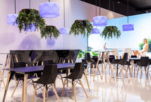 Lade das Bild in den Galerie-Viewer, Ausgefallene Bodenvasen Maurizius zum Verlieben